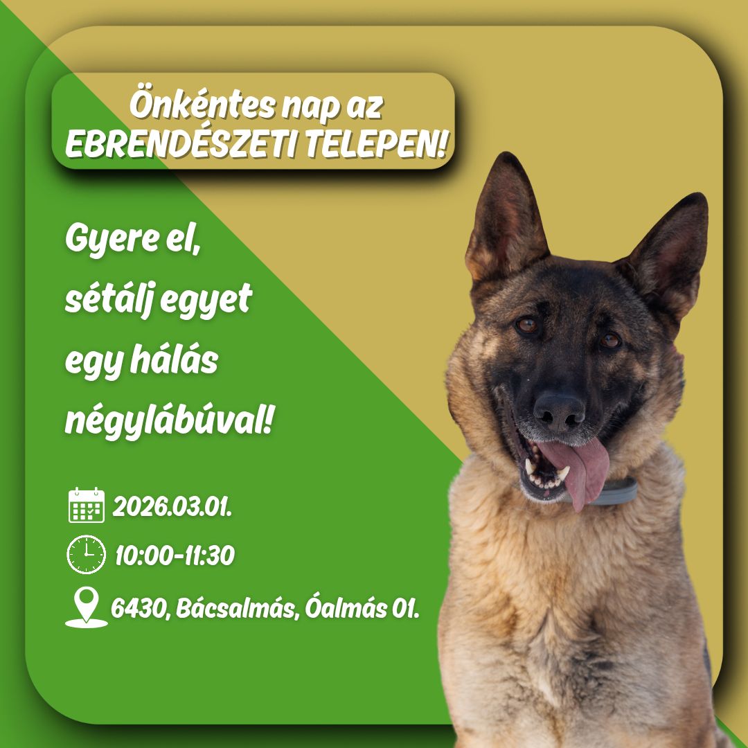 641394840 1358324386325776 6328908229986437072 n